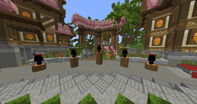NPCS & Holograms